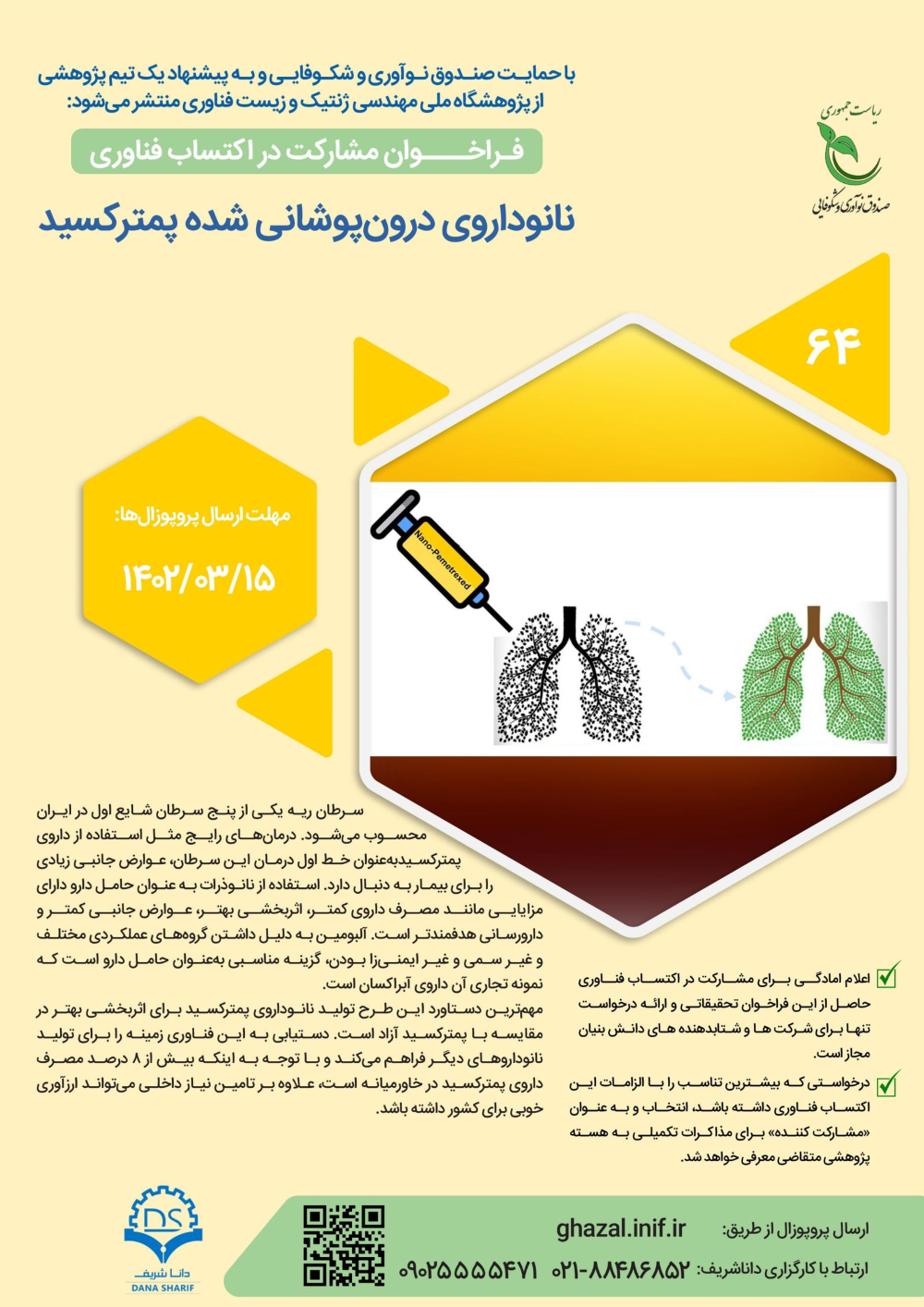 پیش نمایش